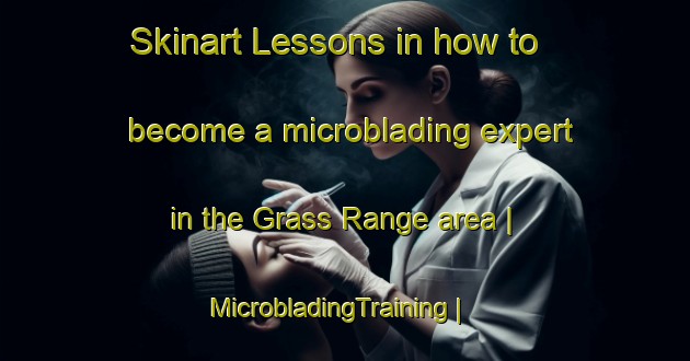 Skinart Lessons in how to become a microblading expert in the Grass Range area | MicrobladingTraining | MicrobladingClasses | SkinartTraining-United States